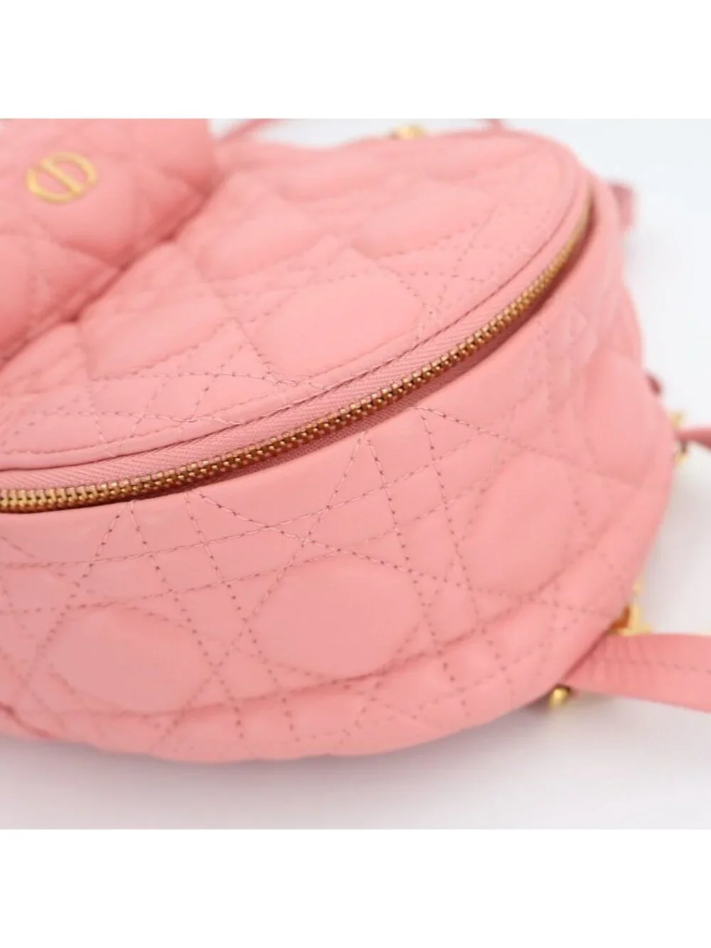 Dior Backpack Cannage Stitching